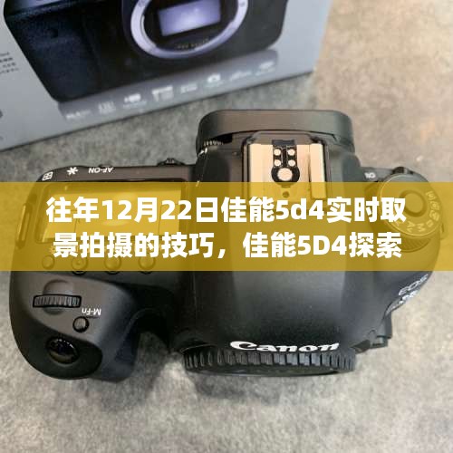 橘虞初梦 第12页