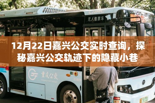 探秘嘉兴公交轨迹，实时查询下的特色小店故事与隐藏小巷揭秘
