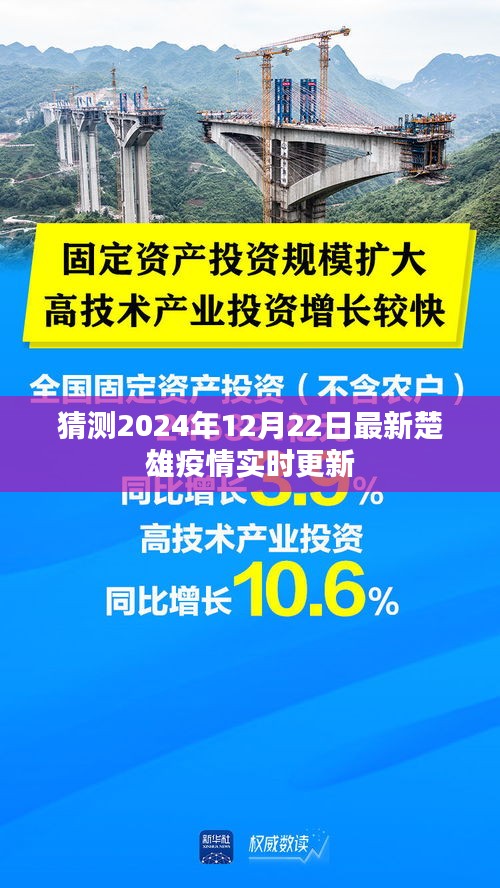 楚雄最新疫情实时更新，预测至2024年12月