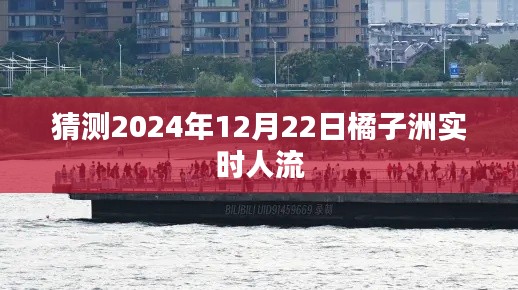 橘子洲未来人流预测，2024年年末预测报告