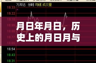 历史上的月日月与实时净值概览