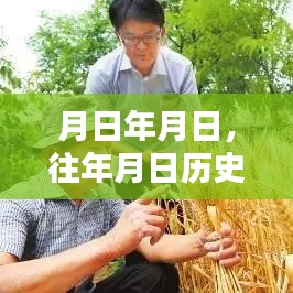 历史月日与宝丰天气预报实时更新