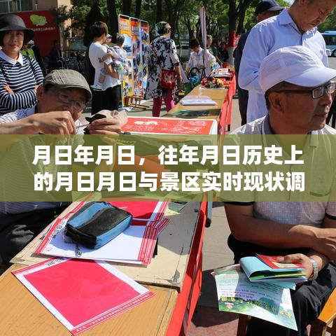 月日历史与景区现状调查对比表，对比往年与实时数据