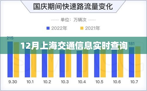 上海交通实时查询系统，掌握最新交通信息