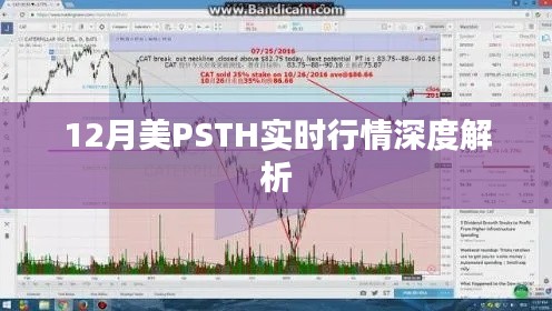 花开无言 第9页