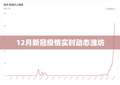潍坊新冠疫情实时动态分析报告