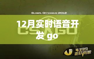 实时语音开发go实践指南