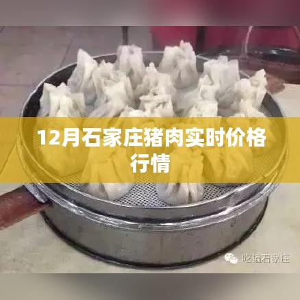 石家庄猪肉实时价格行情（最新更新）