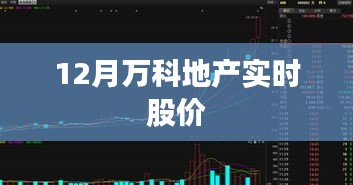 12月万科地产最新股价动态