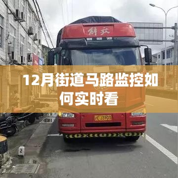 12月街道马路实时监控查看方法