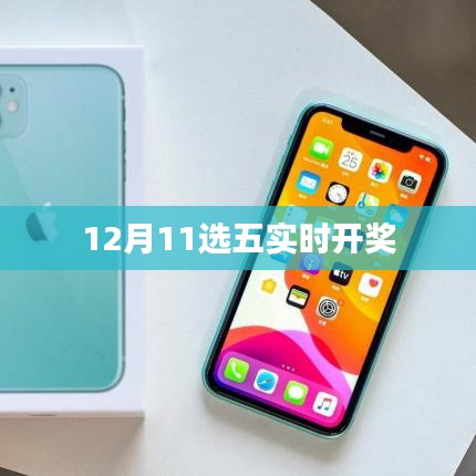12月11日选五实时开奖结果及中奖名单公布