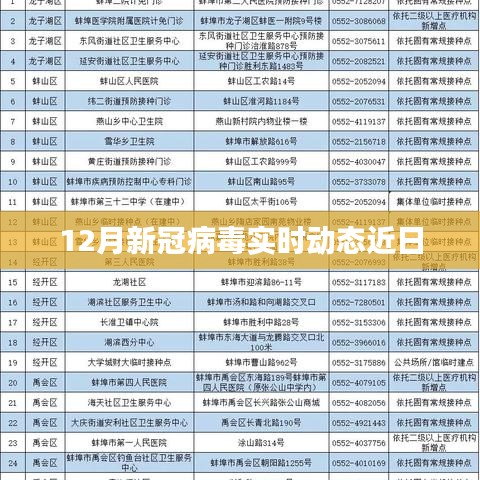 12月新冠病毒实时动态更新