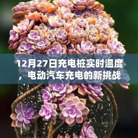充电桩实时温度监测，电动汽车充电挑战与应对策略