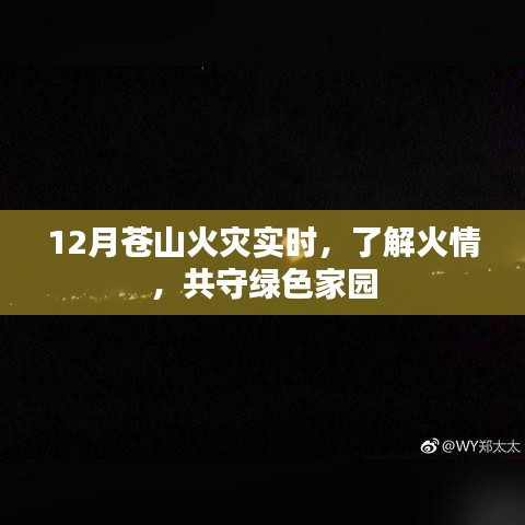 12月苍山火灾最新进展，共守绿色家园