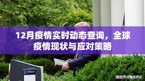 全球疫情实时动态查询，应对策略与现状关注
