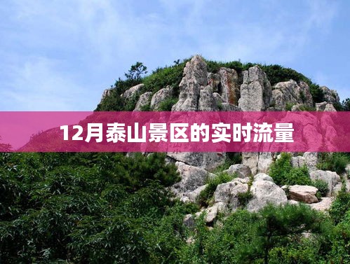 泰山景区实时客流量查询