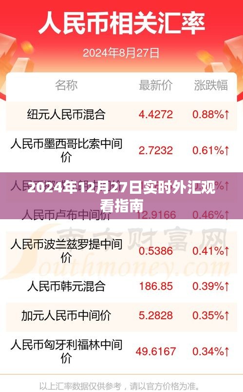 实时外汇观看指南，掌握最新动态，洞悉市场走势