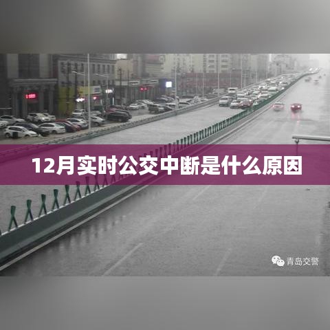 12月公交中断原因解析