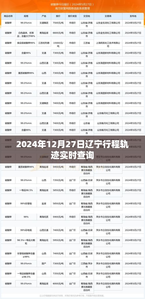 辽宁行程轨迹实时查询系统（最新更新至2024年12月）