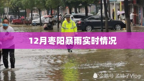 枣阳暴雨最新实时报道