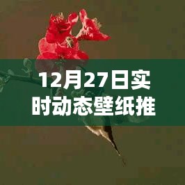 12月27日精选实时动态壁纸推荐软件