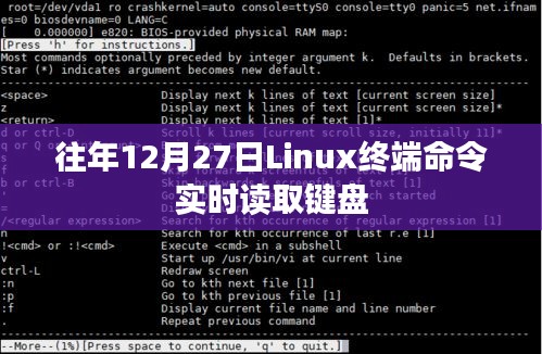 Linux终端命令实时读取键盘输入的操作指南