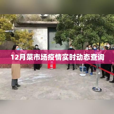 12月菜市场疫情最新实时动态查询