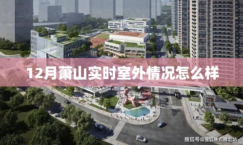 萧山室外实时状况揭秘，冬季美景与活动体验