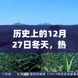 历史上的茶叶繁荣与传承，冬季的12月27日记忆