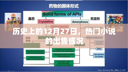 12月27日热门小说出售盛况回顾