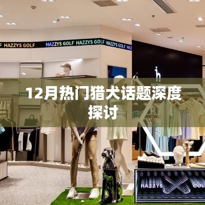 12月猎犬热点话题深度解析