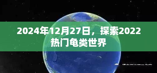 揭秘热门龟类世界，探索之旅在2024年12月27日启程