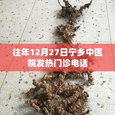 宁乡中医院发热门诊历年12月27日电话汇总