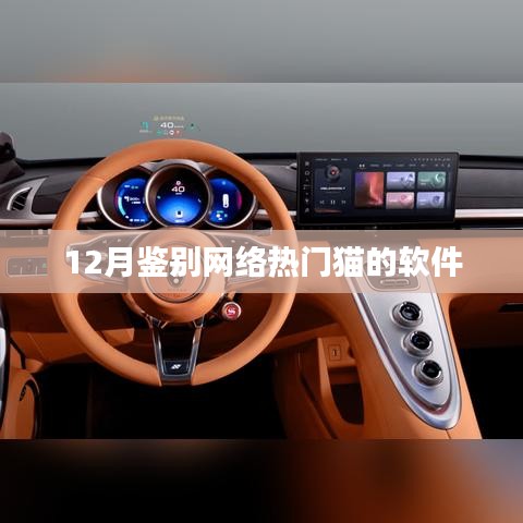 猫软件热度鉴别指南，12月版