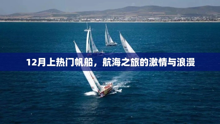 帆船航海之旅，激情与浪漫并存的十二月热门活动
