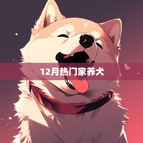 冬季热门宠物犬推荐，家养犬之选