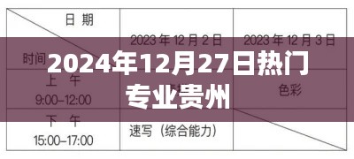 贵州热门专业趋势解析（2024年12月）