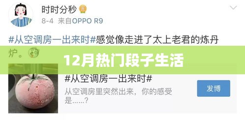 橘虞初梦 第7页