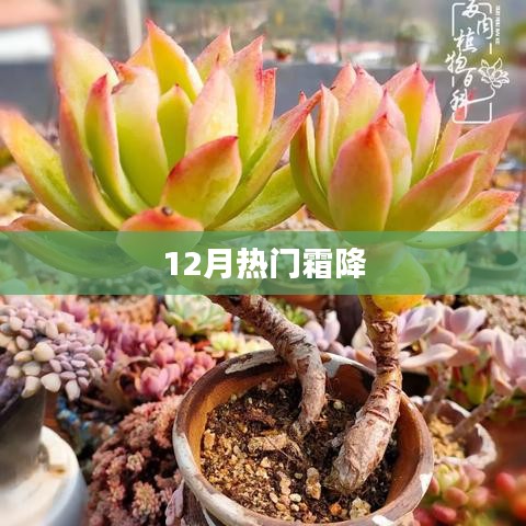 虎视眈眈 第9页