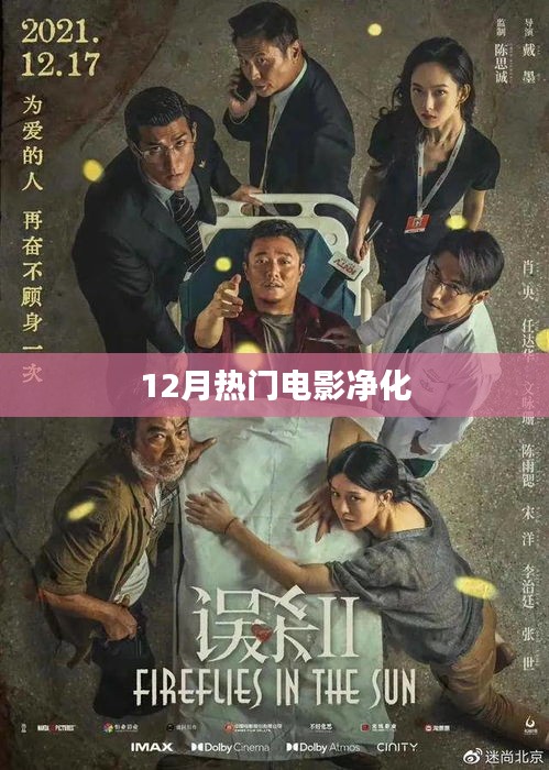 12月热门电影，心灵净化之旅