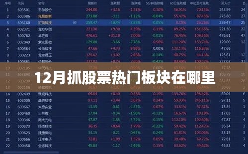 12月股票热门板块大揭秘