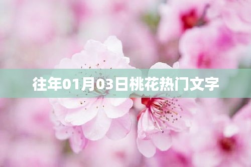 『历年桃花盛事回顾，01月03日的热门文字』