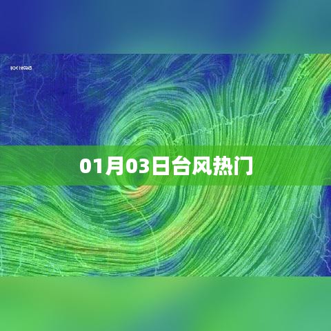 台风热门资讯，最新动态一网打尽