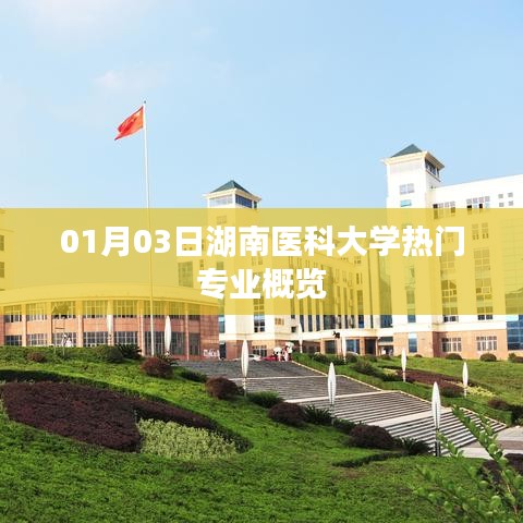 湖南医科大学热门专业概览（专业推荐）