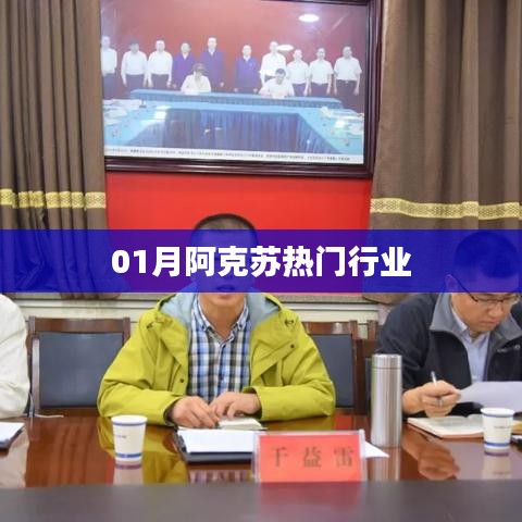 阿克苏热门行业一月份动态