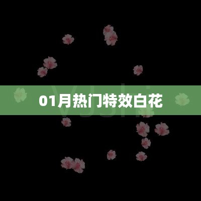 热门特效白花，一月瞩目之选