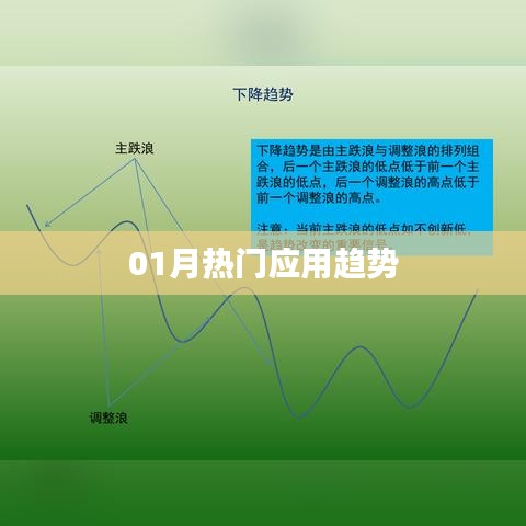 热门应用趋势一月份解析