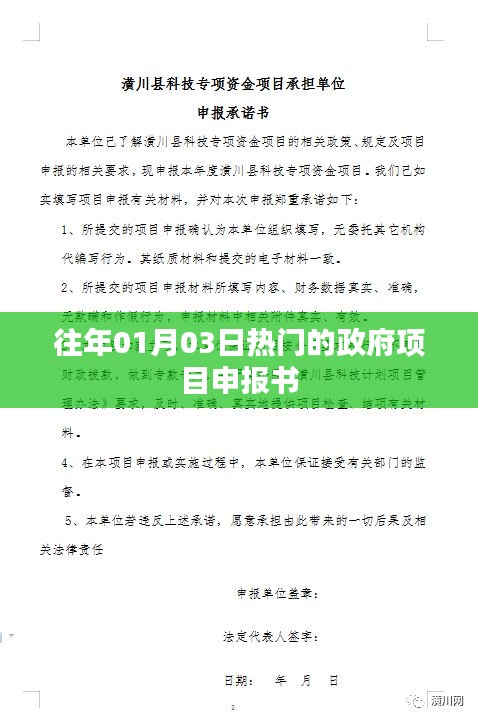 政府项目申报书历年热点解析