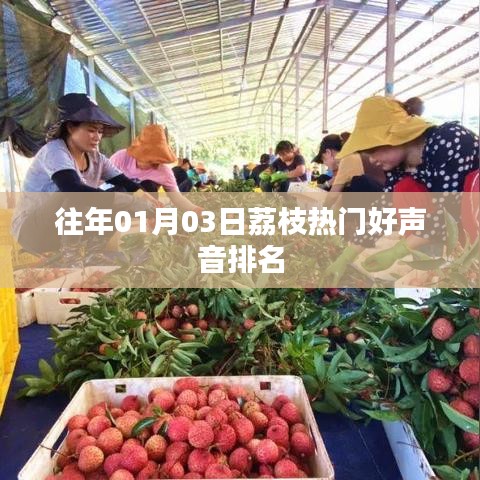 荔枝热门好声音年度排名揭晓