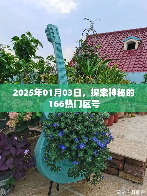 探索神秘，2025年热门区号166的奥秘